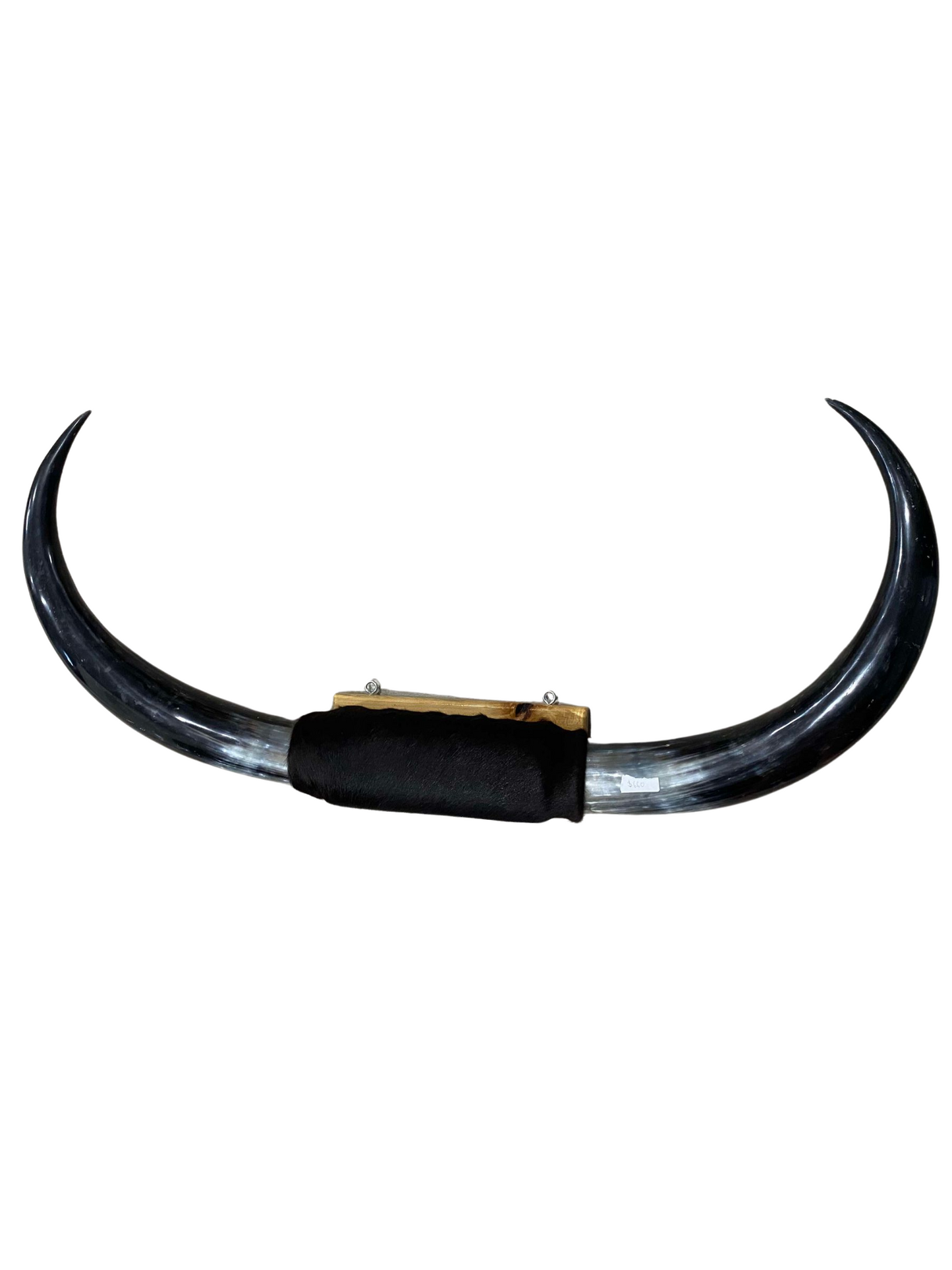 XXL Horns Black hide Black horns