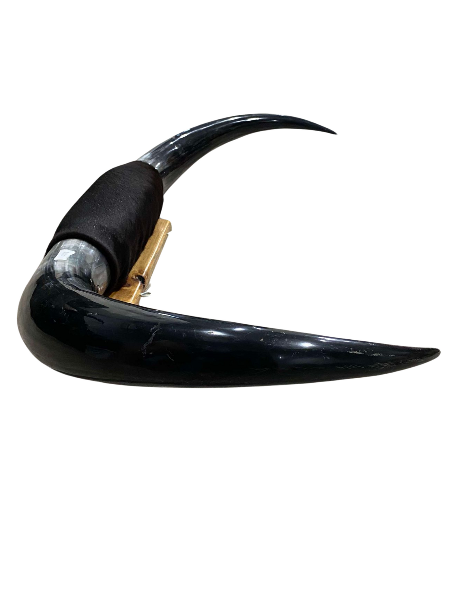 XXL Horns Black hide Black horns
