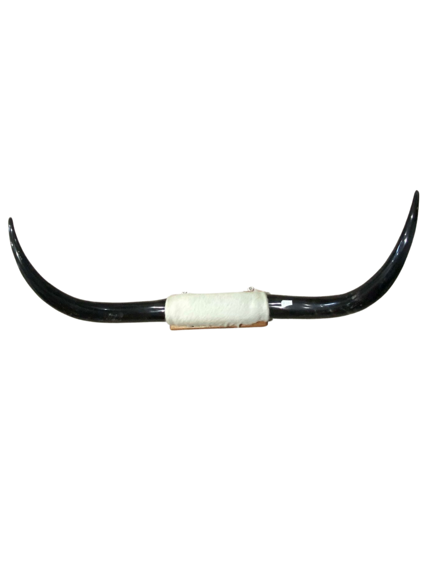 XL Horns White Hide Black Horns