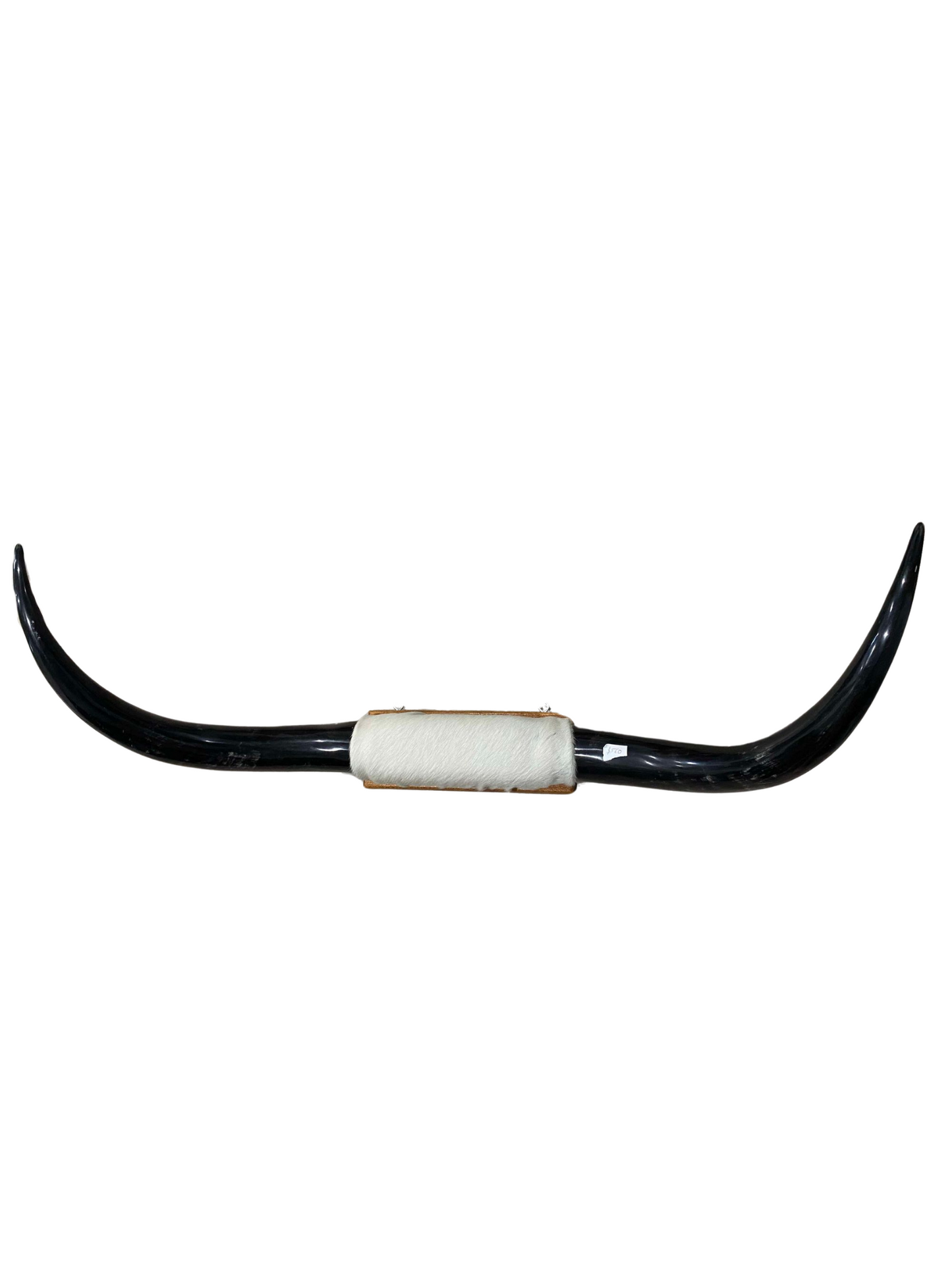 XL Horns White Hide Black Horns