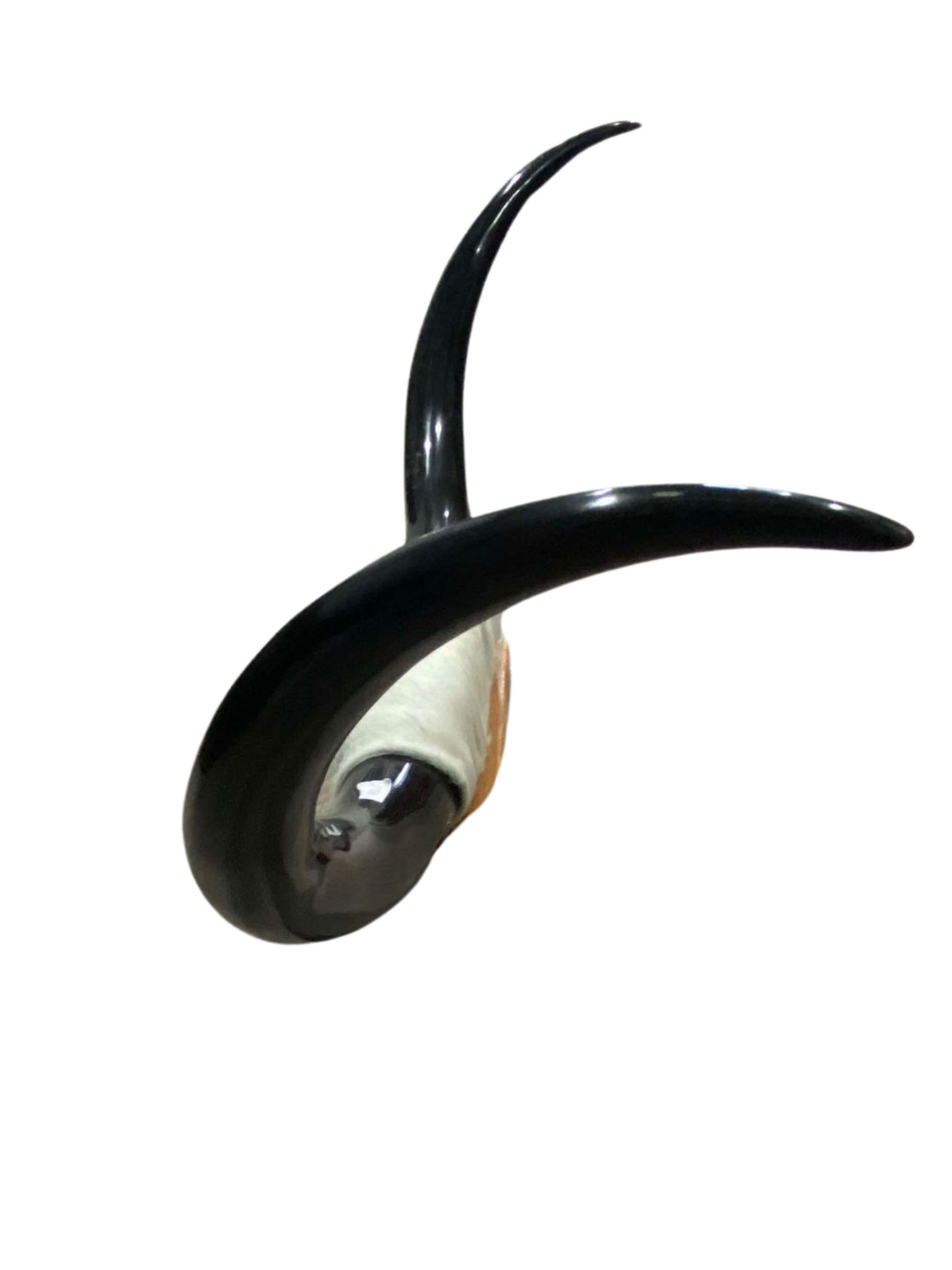 XL Horns White Hide Black Horns
