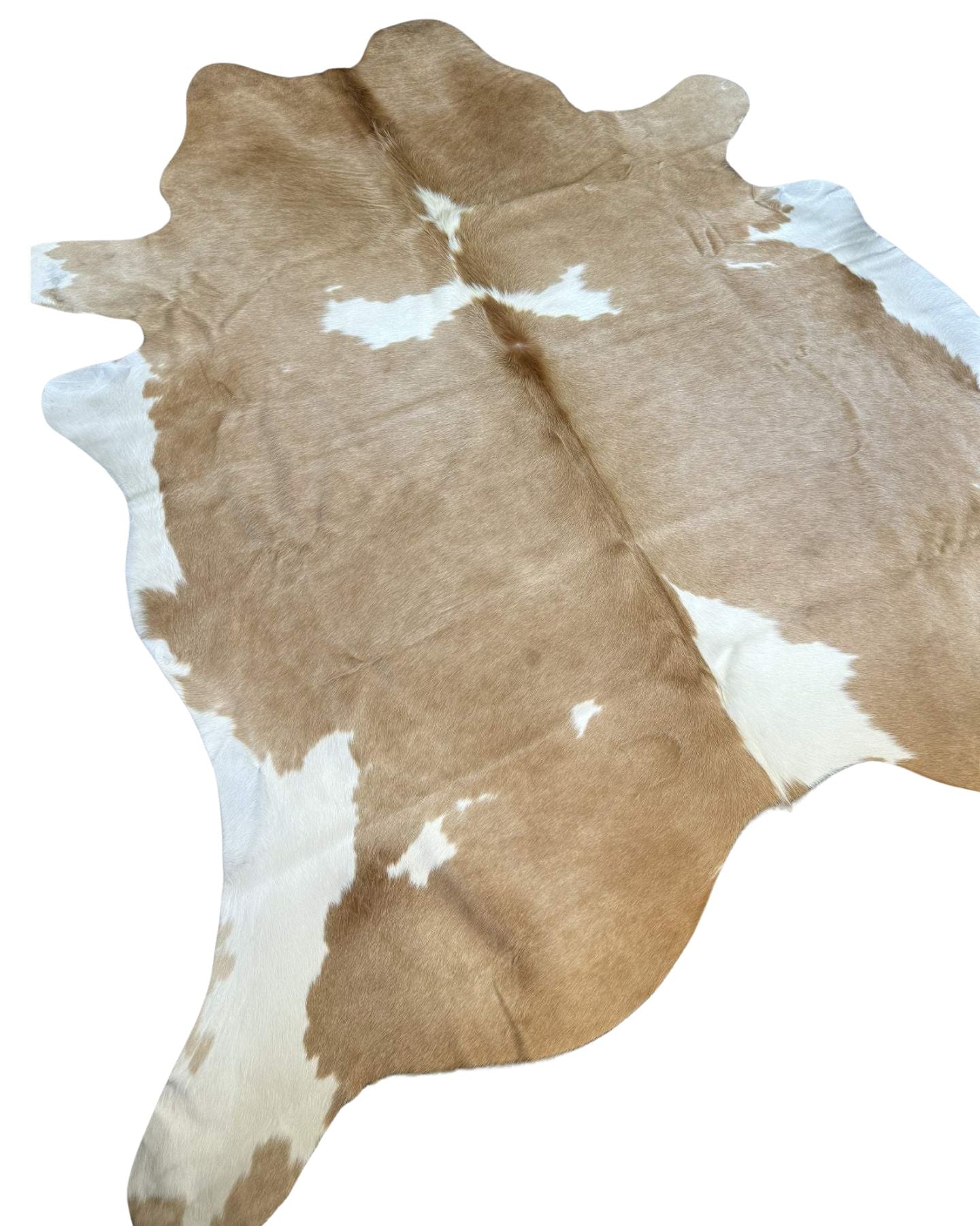 017 Beige & White