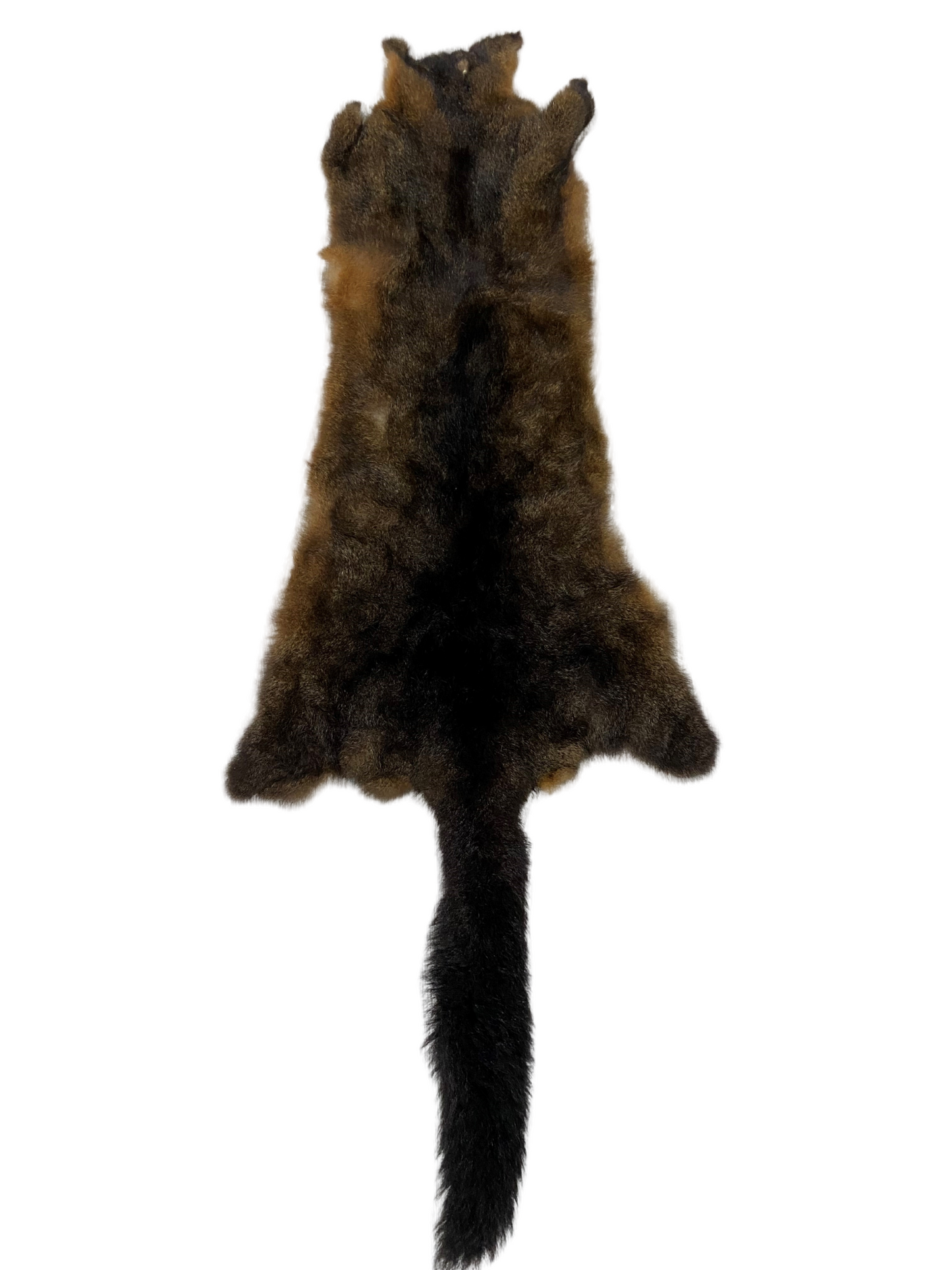 NZ Possum Skin