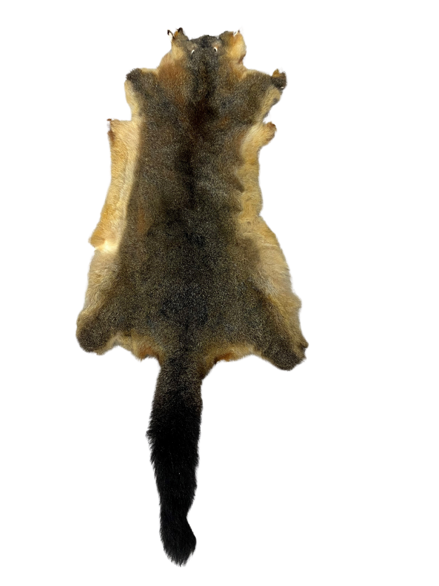 NZ Possum Skin