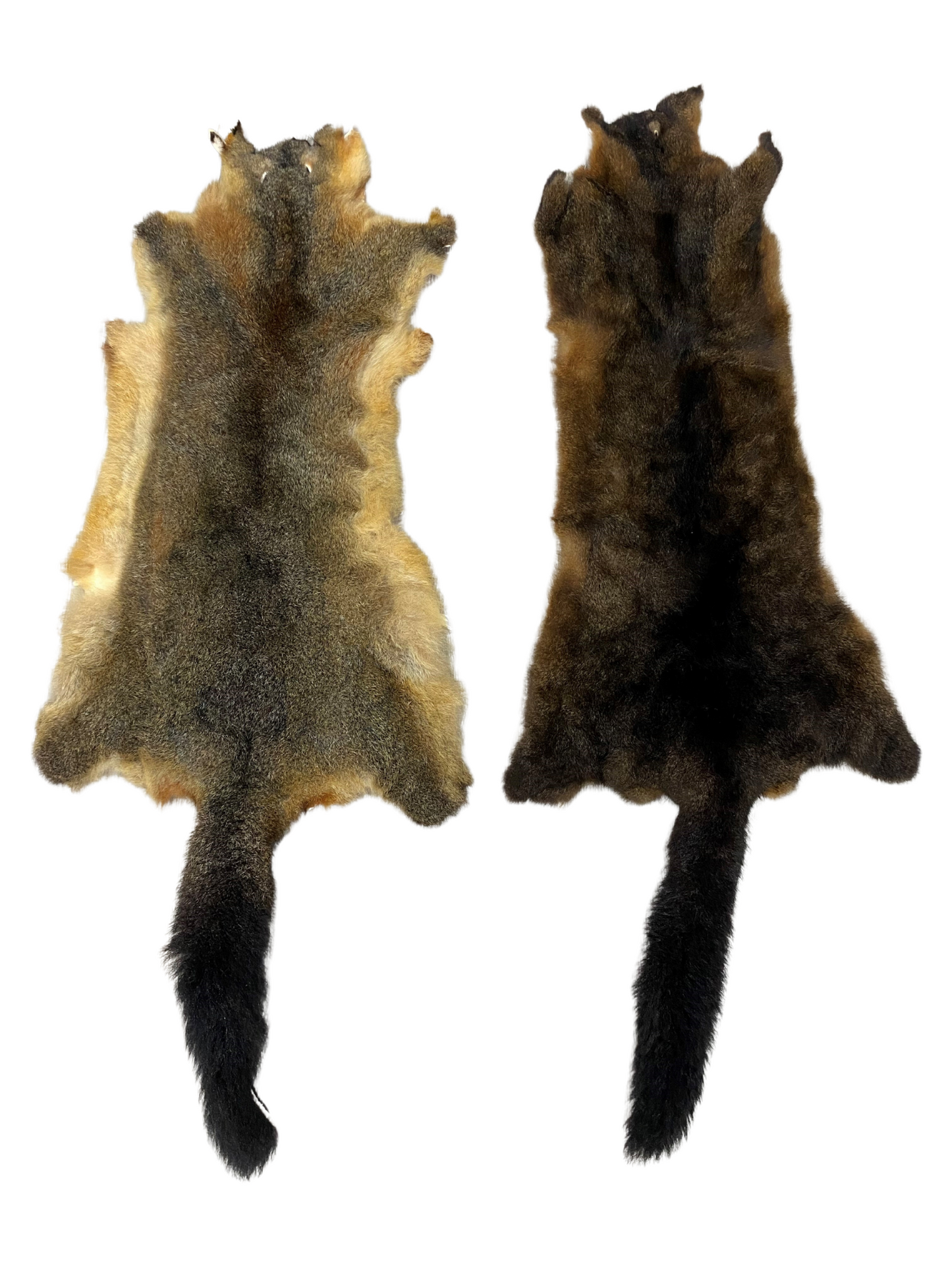 NZ Possum Skin