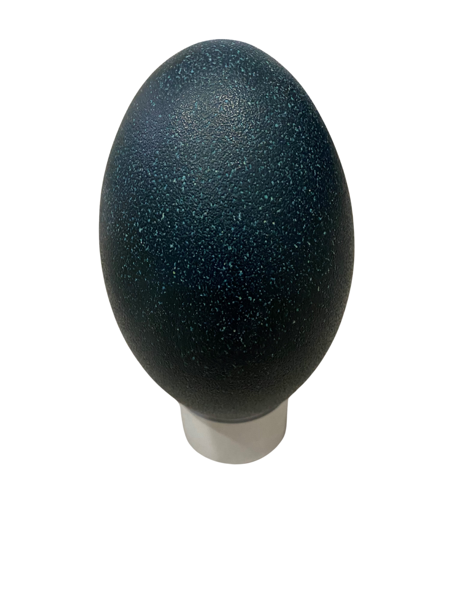 Emu Egg (blown)