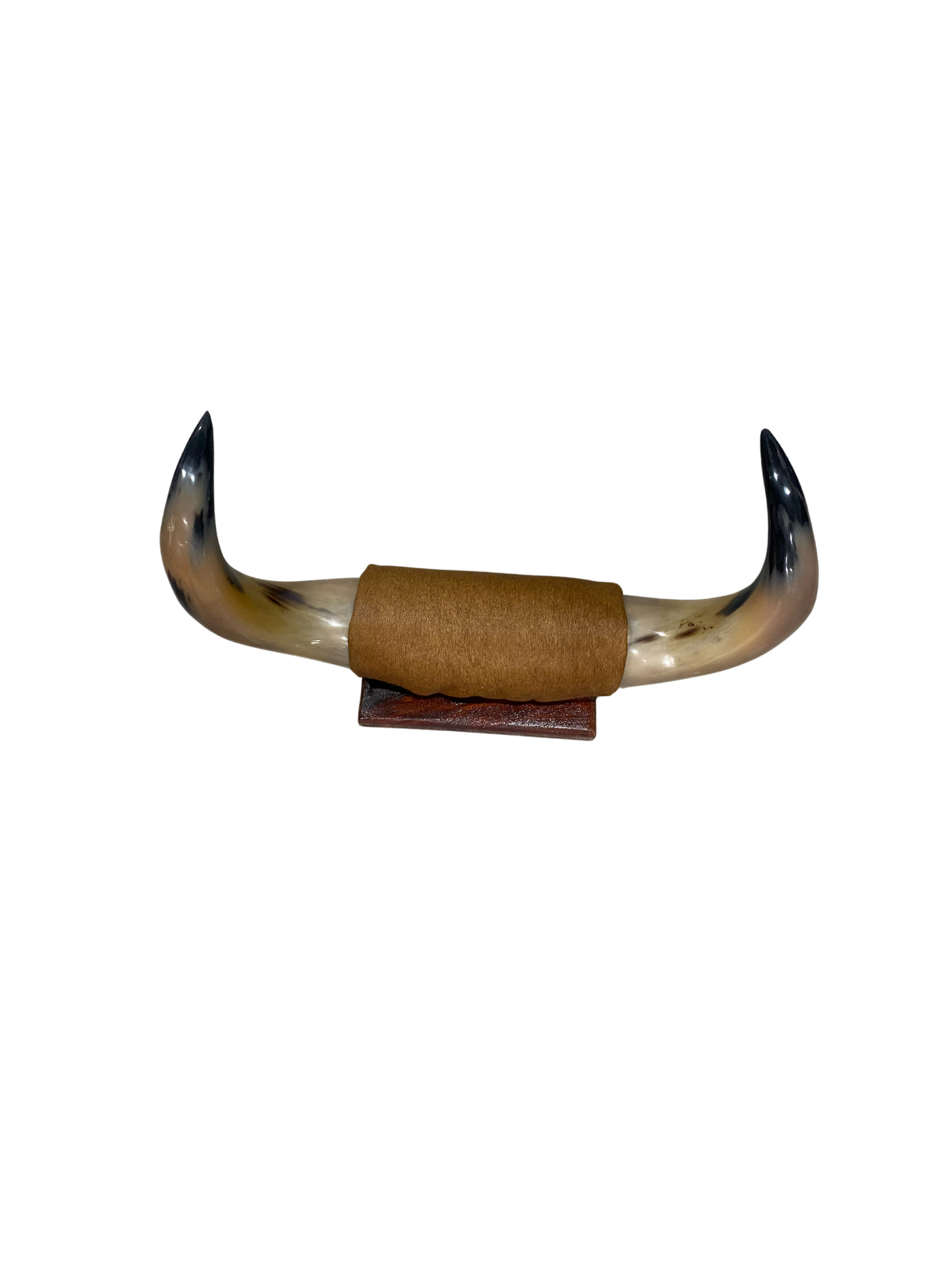 Small Polished Horns Brown