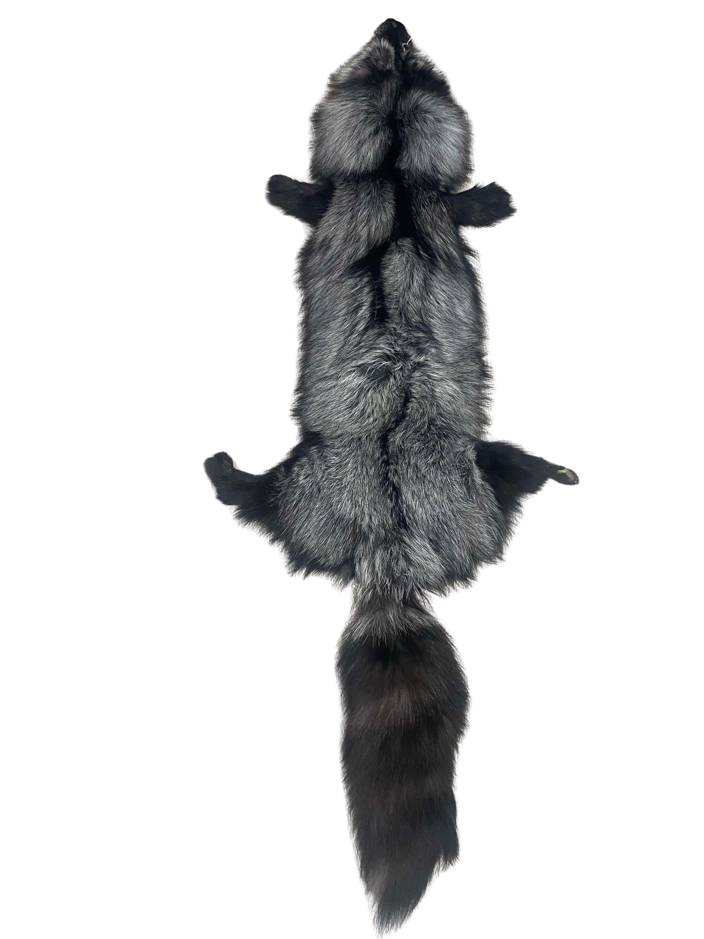 Silver Fox