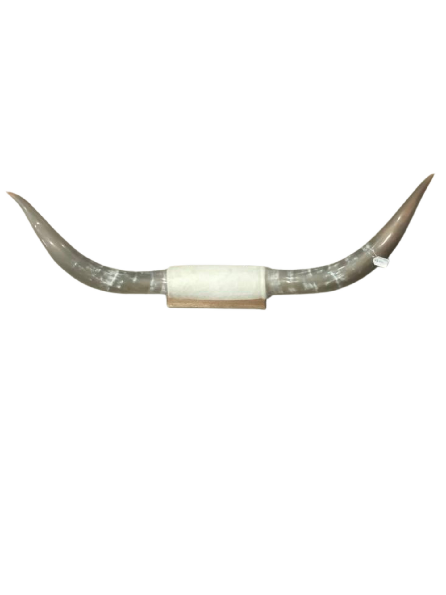 XXL Horns White Hide