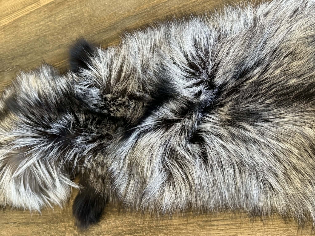 Silver Fox