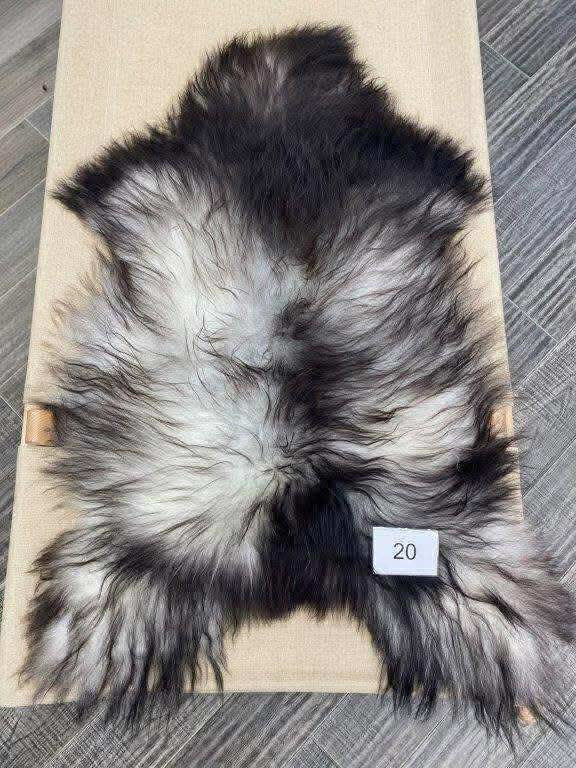 Icelandic Sheep skin #20
