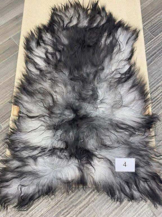 Icelandic Sheep skin #4