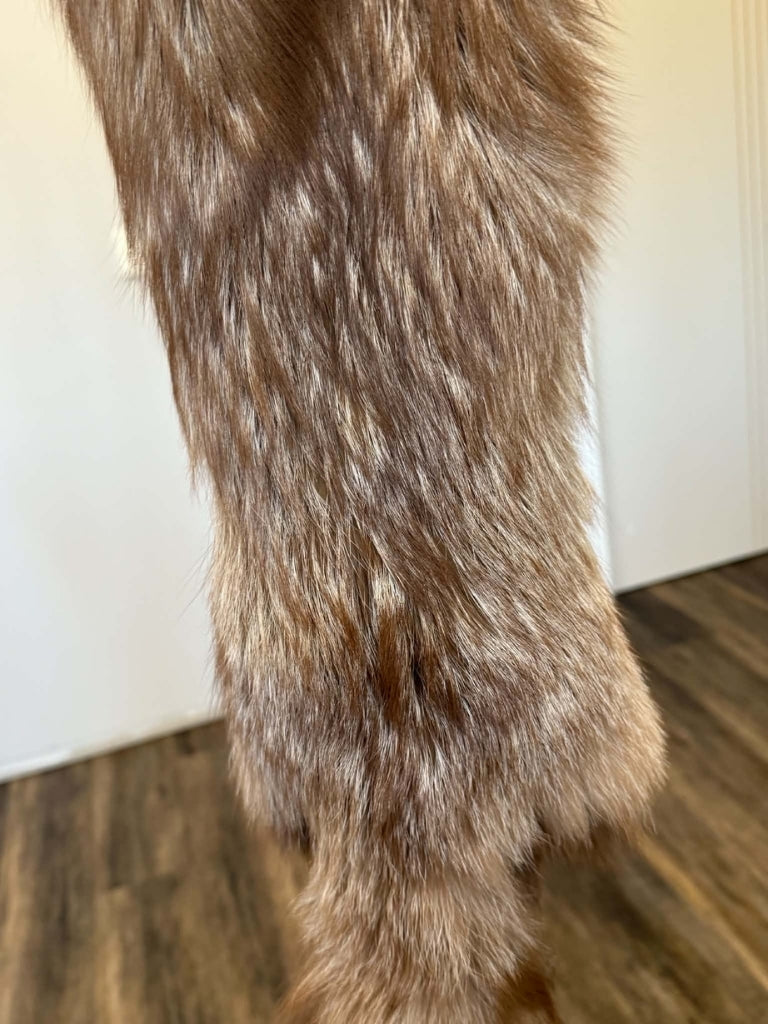 Coffee Fox