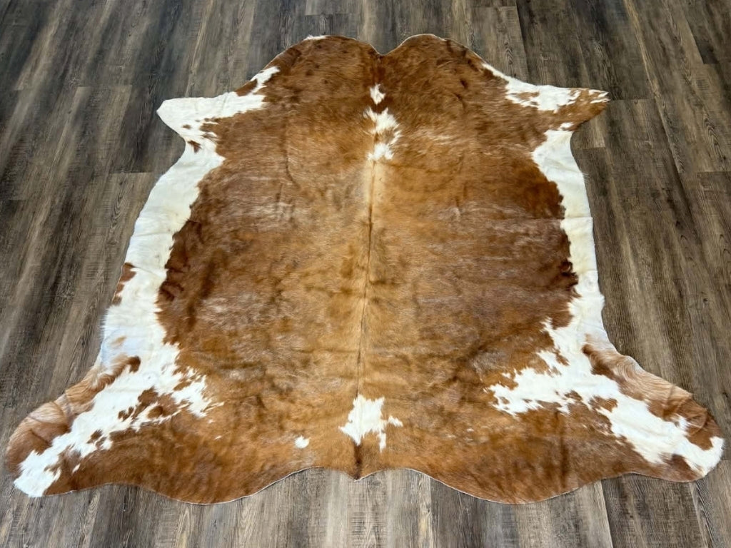 011 Beigey Brown Hereford