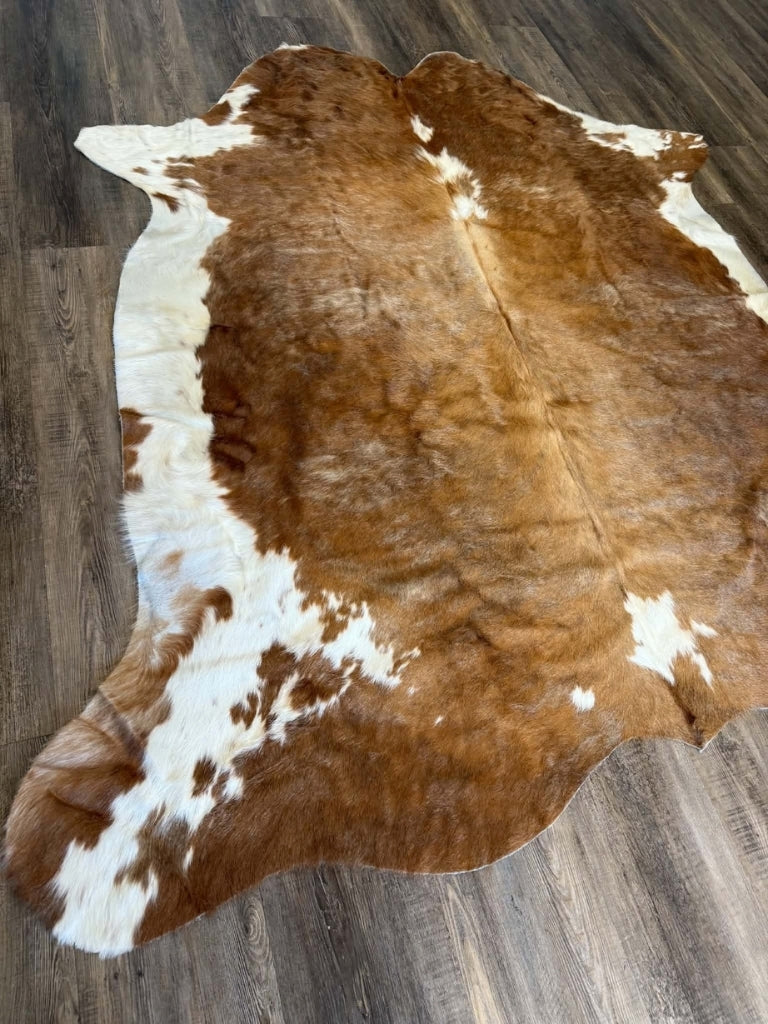011 Beigey Brown Hereford
