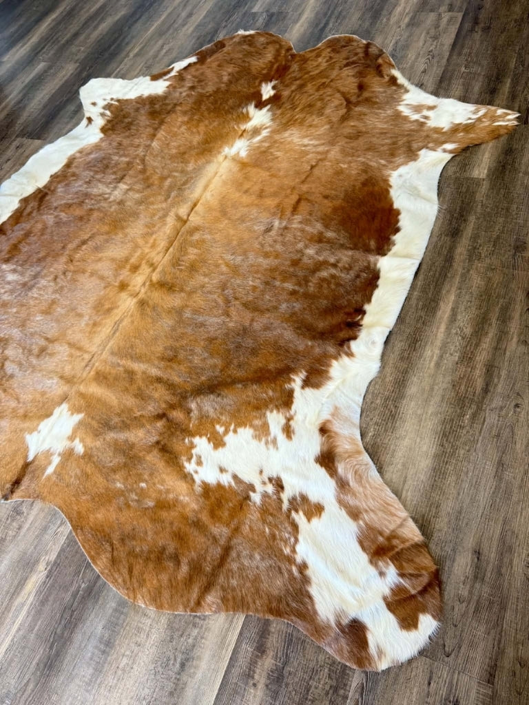011 Beigey Brown Hereford