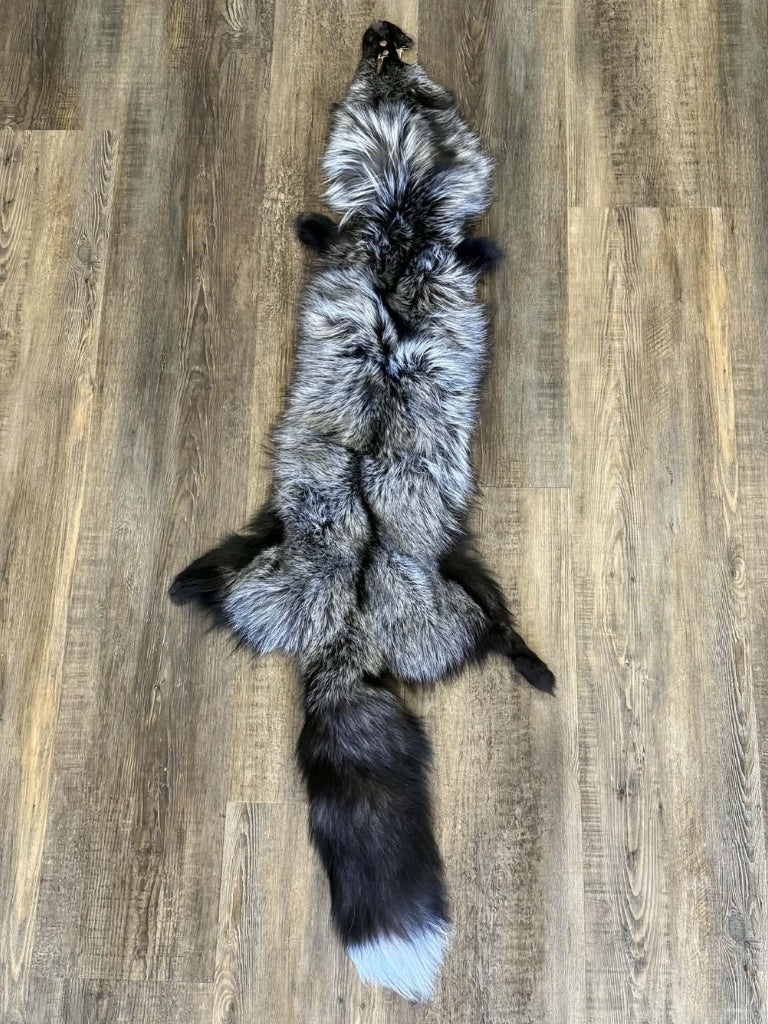 Silver Fox