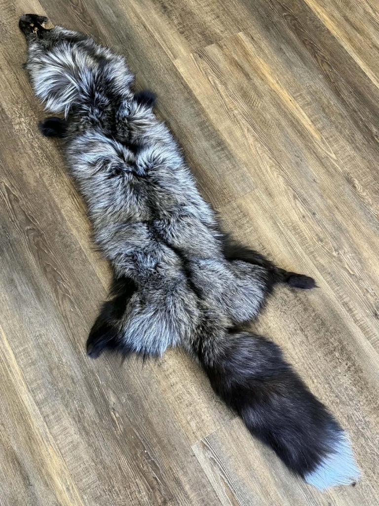 Silver Fox