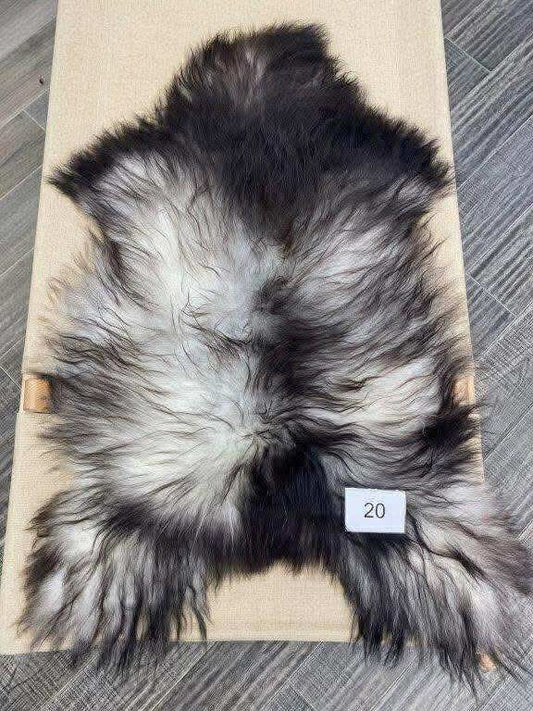 Icelandic Sheep skin #20